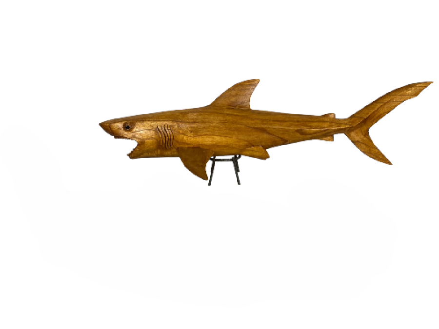 TIBURON JENPINIS 80cm