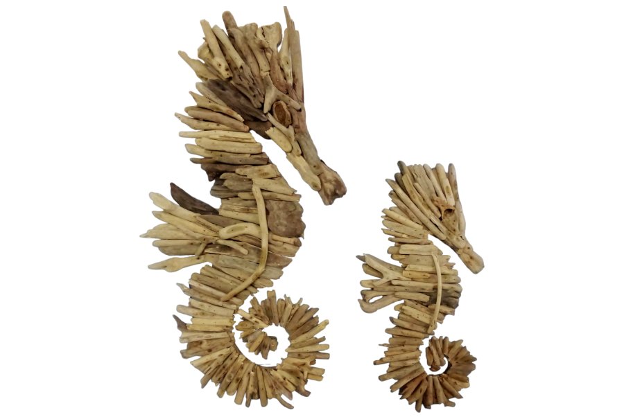 HIPOCAMPO FLOTAN PARED