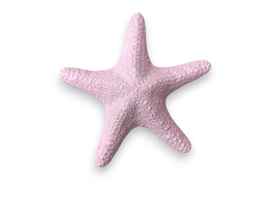 ESTRELLA JUNGLE ROSA 15-18cm