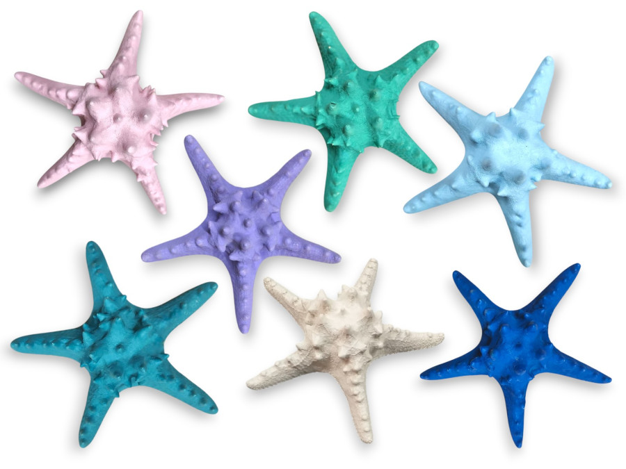 ESTRELLA FILIPINA 18cm