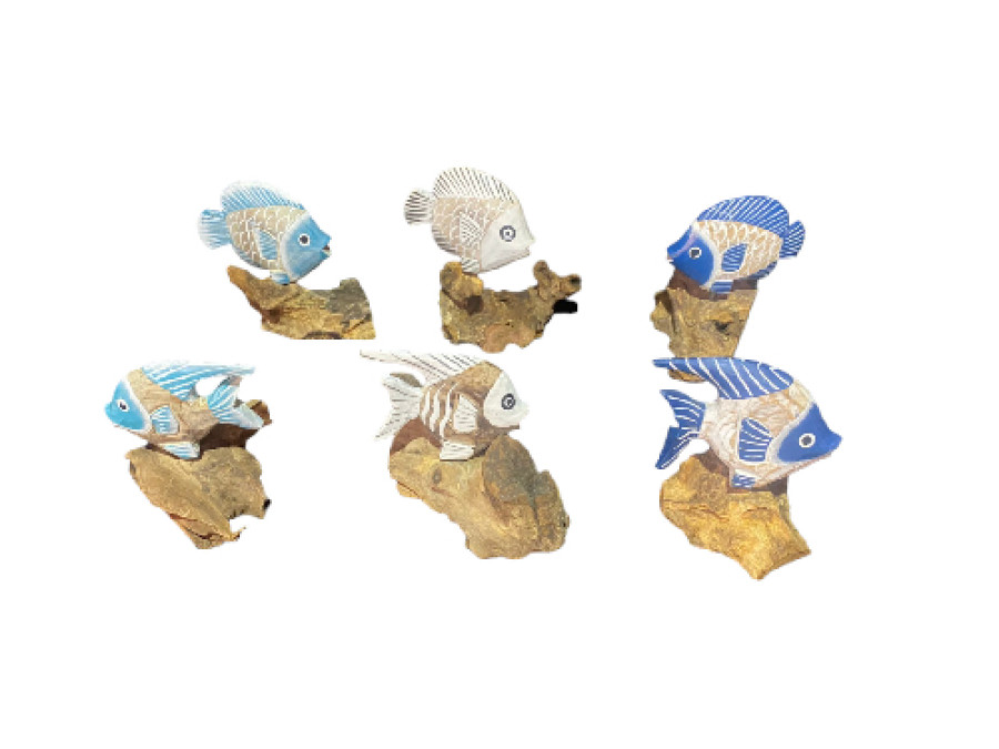 PEZ BASE SIMPLE REDONDO STILO 3 colors pack 12