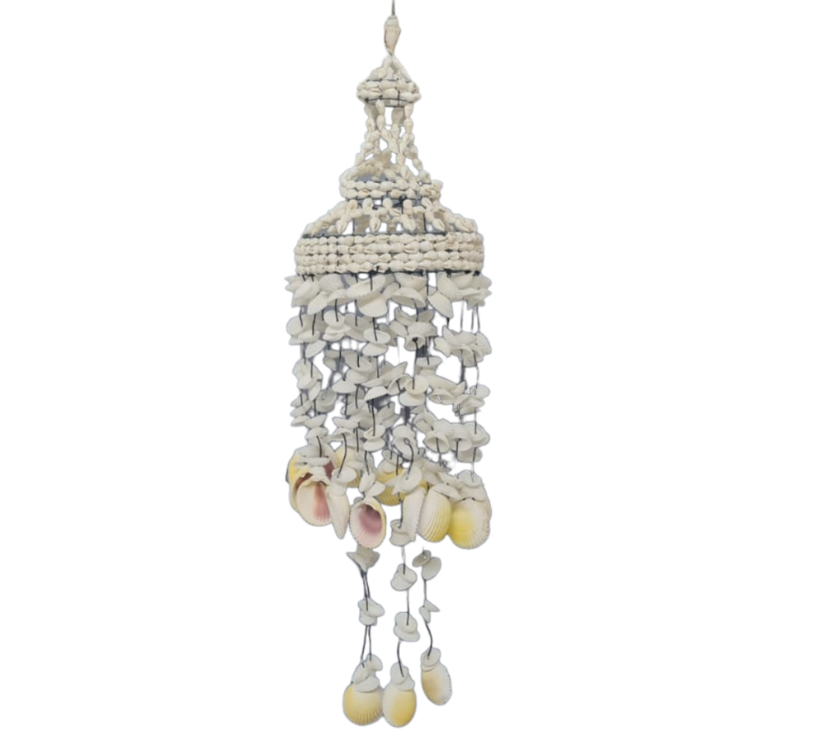 L.CARACOL NASSA-COCKLES (Dmtro.12cm) 50cm