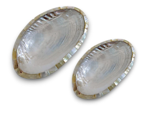 JABONERA BORDE MOP 2 Medidas