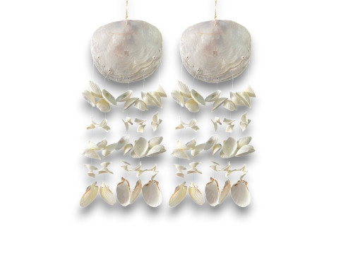 D-2503 DECO OSTREA BLANCA SHELLS Pack 6