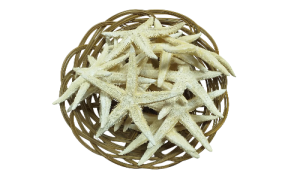 BOLSA E.FLAT BLANCA 08-10cm bolsa 25