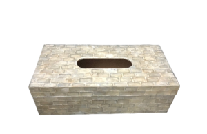 CAJA CAPIZ PAÑUELOS 25x12x08cm