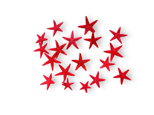 BOLSA FLAT ENANA ROJA