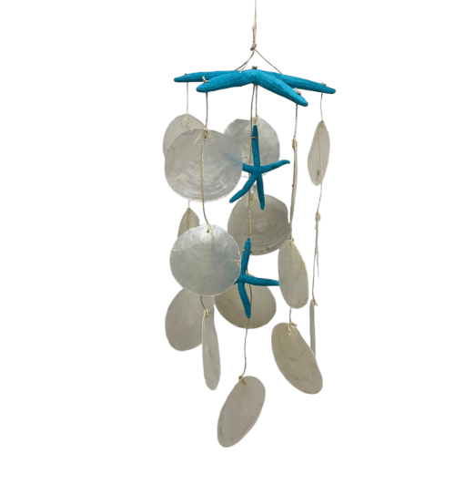 MOVIL E.DEDOS TURQUESA  CAPIZ