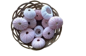 ERIZO ROSADO 05cm (bolsa 25 und)