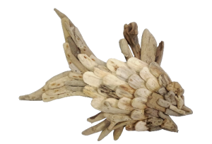 PEZ PARED FLOTAN 60cm